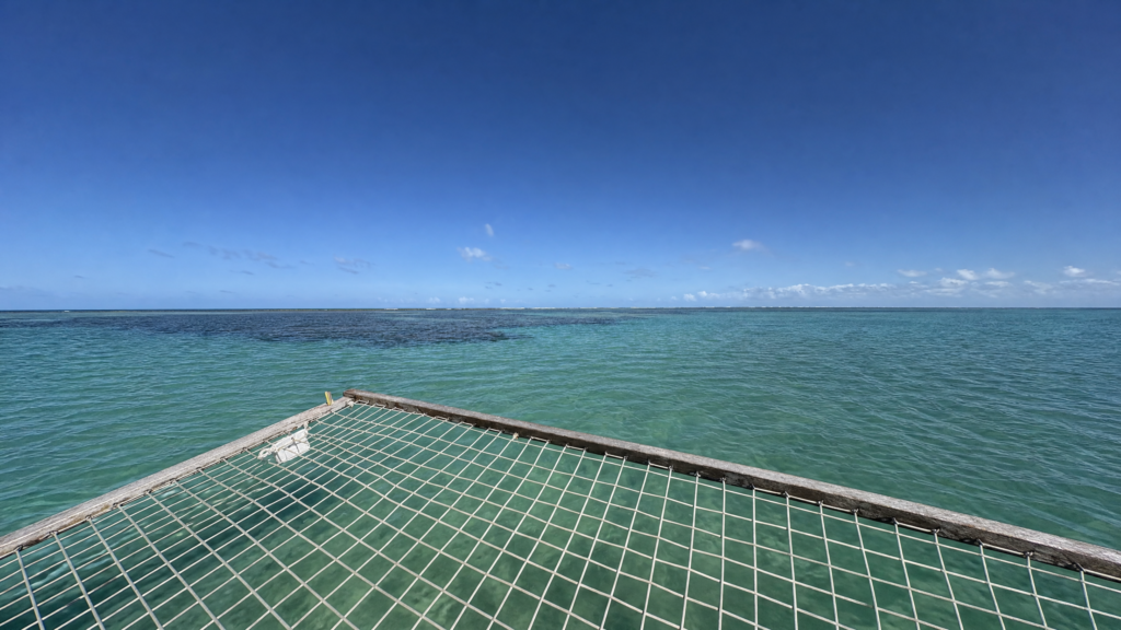 Foto3_widescreen