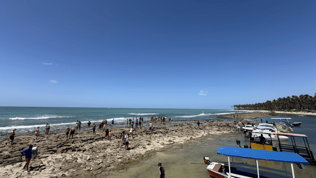 praia_carneiros8